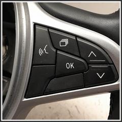 Immagine di Volanti Sterzo DACIA Sandero III