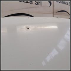 Immagine di Cofano PANN-COFANO | ant.