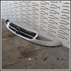 Immagine di Griglia cofano O:GRIGL COFANO | ant.