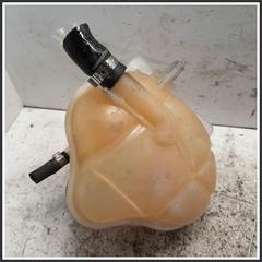 Immagine di Vaschetta Liquido Raffreddamento FIAT Punto Evo 199B1000