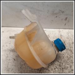 Immagine di Vaschetta Liquido Raffreddamento FIAT Punto Evo 199B1000