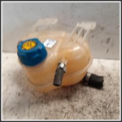 Immagine di Vaschetta Liquido Raffreddamento FIAT Punto Evo 199B1000