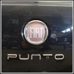 Immagine di Cofano Posteriore, Portellone, Cofano Bagagliaio post. FIAT Punto Evo