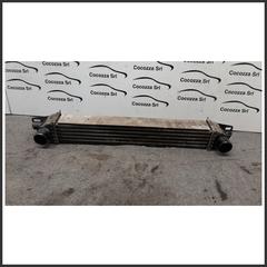 Immagine di Radiatore Intercooler FIAT Qubo 199A2000