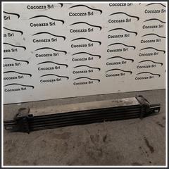 Immagine di Radiatore Intercooler FIAT Qubo 199A2000