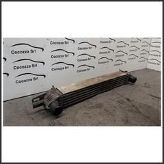 Immagine di Radiatore Intercooler FIAT Qubo 199A2000