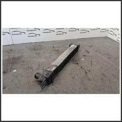 Immagine di Radiatore Intercooler FIAT Qubo 199A2000