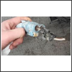 Immagine di Elettroventola FIAT Qubo 199A2000