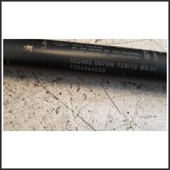 Immagine di Ammortizzatori portellone post. dx FIAT Qubo 52223969