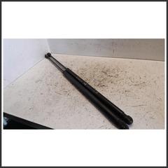 Immagine di Ammortizzatori portellone post. dx FIAT Qubo 52223969