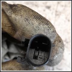 Immagine di Fuselli Anteriori ant. dx FIAT Qubo 199A2000