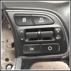 Immagine di Volanti Sterzo KIA Sportage IV 56100D9230SA1