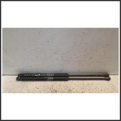 Immagine di Ammortizzatori portellone post. FIAT Grande Punto 51778432