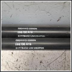 Immagine di Ammortizzatori portellone post. FIAT Grande Punto 51778432