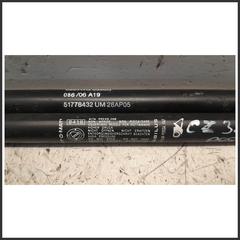 Immagine di Ammortizzatori portellone post. FIAT Grande Punto 51778432