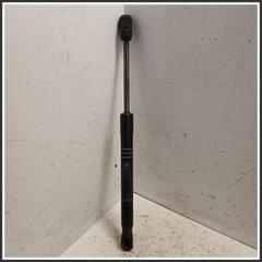 Immagine di Ammortizzatori Cofano Portelloni ant. sx. BMW Serie 5 F11 Touring 51237206644