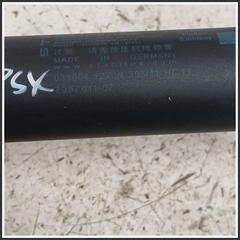 Immagine di Ammortizzatori portellone post. sx. BMW Serie 5 F11 Touring 51247207011