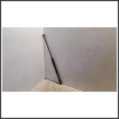 Immagine di Ammortizzatori portellone post. dx. FIAT Grande Punto 51778432