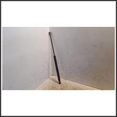 Immagine di Ammortizzatori portellone post. sx. FIAT Grande Punto 51778432