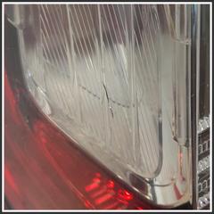 Immagine di Fanaleria Posteriore post. sx. FIAT Punto Evo 51901097