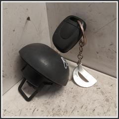 Immagine di Sportello Carburante RENAULT Clio II 7701469308