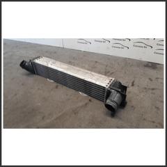 Immagine di Radiatore Intercooler BMW Serie 2 U06 Active Tourer B47C20B