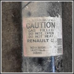 Immagine di Ammortizzatori posteriori post. sx. RENAULT Rafale H5F601