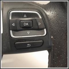 Immagine di Volanti Sterzo SEAT Leon 1P1 5P0419091RRZM