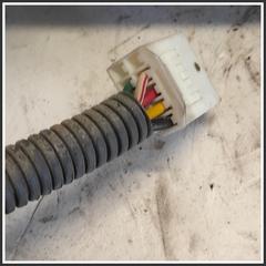 Immagine di Fanaleria Posteriore post. dx. KIA Sorento I 924023E010