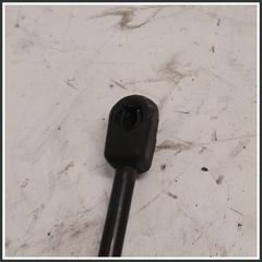 Immagine di Ammortizzatori Cofano Portelloni ant. dx. LAND ROVER Range Rover Evoque I LR025400