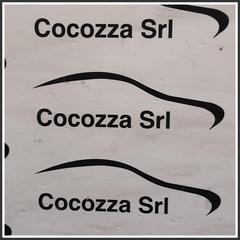 Immagine di Modanatura Carrozzeria BMW X4 G02 51137483861