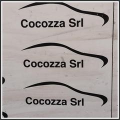 Immagine di Modanatura Carrozzeria BMW X4 G02 51137483862