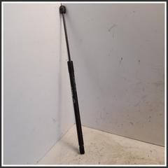 Immagine di Ammortizzatori portellone post. sx. DR DR 5.0 3430400136