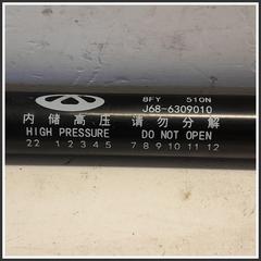 Immagine di Ammortizzatore Portellone Posteriore  3430400136 J686309010 DR DR 4.0