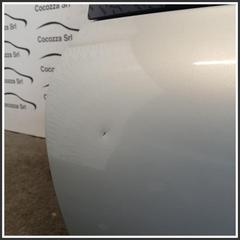 Immagine di Cofano Portellone Posteriore 7751473239 RENAULT Clio II