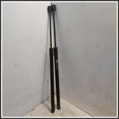 Immagine di Ammortizzatore Portellone Posteriore Idraulico 3430400136 J686309010 DR DR 4.0
