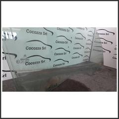 Immagine di Vetro Cristallo Laterale Scendente Anteriore Destro 920280 CITROEN Xsara Picasso