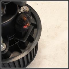 Immagine di Ventola Riscaldamento Ventilatore Abitacolo 3310100035 DR DR 4.0