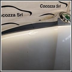 Immagine di Cofano Motore Anteriore 5J0823031B SKODA Fabia 545 SW