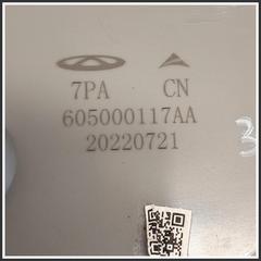 Immagine di Plafoniera Anteriore Centrale DR DR 4.0 3530100019 605000117AA
