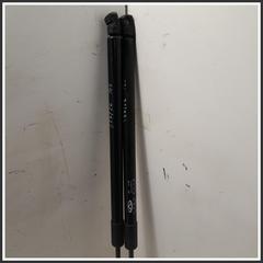 Immagine di Ammortizzatore Portellone Posteriore  DR DR 4.0 3430400136 J686309010