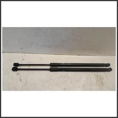 Immagine di Ammortizzatore Portellone Posteriore  DR DR 4.0 3430400136 J686309010