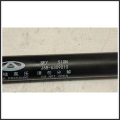 Immagine di Ammortizzatore Portellone Posteriore  DR DR 4.0 3430400136 J686309010