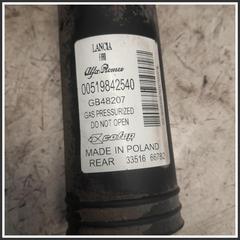 Immagine di Ammortizzatore Posteriore Destro 51984254 00519842540 FIAT Panda III