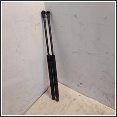 Immagine di Ammortizzatore Portellone Posteriore Idraulico 51841634 2277680420N FIAT Panda III