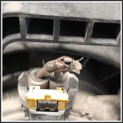 Immagine di Elettroventola Motore 52017371 55702179 FIAT Grande Punto