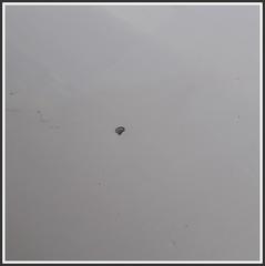 Immagine di Cofano Motore Anteriore 651005147R RENAULT Trafic III