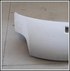 Immagine di Cofano Motore Anteriore 651005147R RENAULT Trafic III