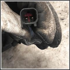 Immagine di Compressore Clima 1796856 0931909324 FORD C-Max I