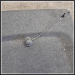 Immagine di Cappelliera Copribaule Fissa 6Q6867769F4R6 VOLKSWAGEN Polo IV